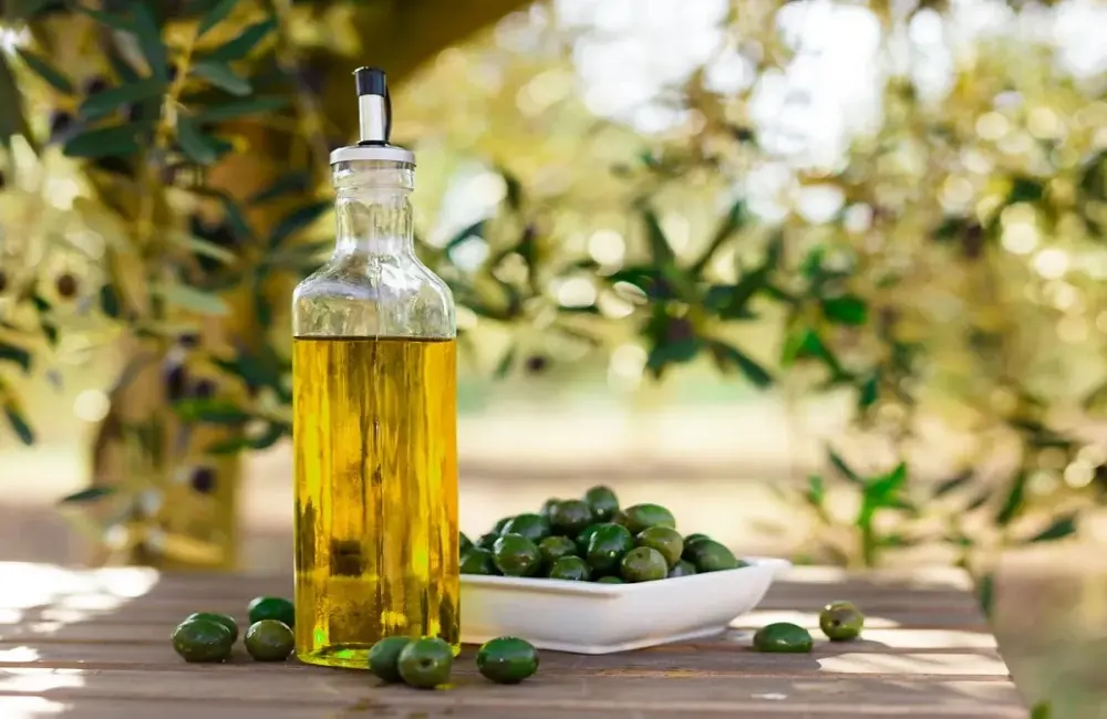 روغن زیتون اصل را از کجا تهیه کنیم