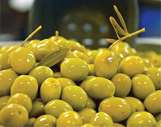 فروش اینترنتی زیتون رودبار