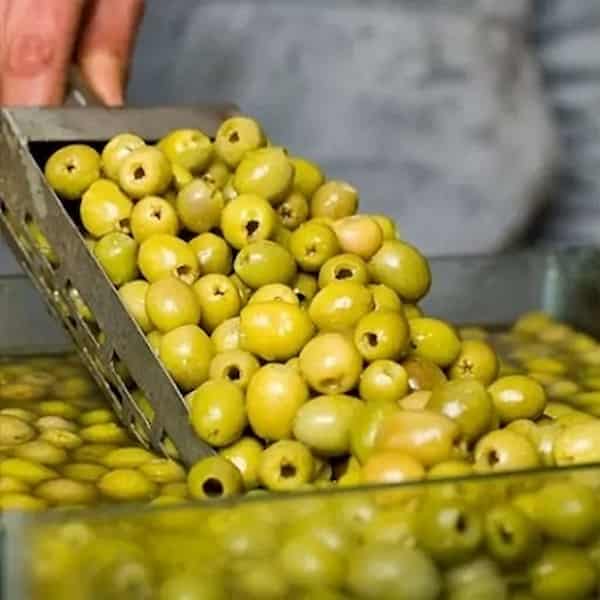 فروش اینترنتی زیتون رودبار